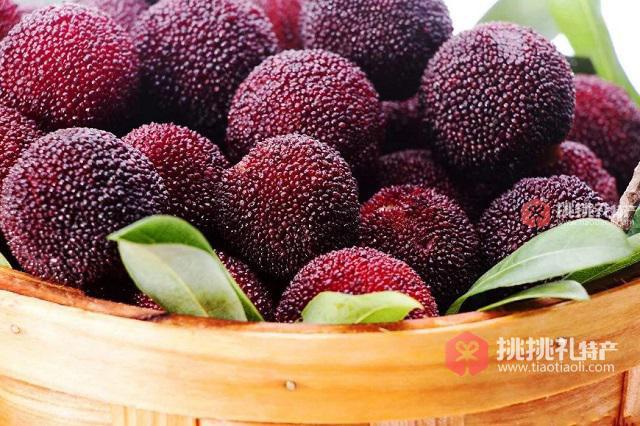 树山杨梅高清图实拍图片