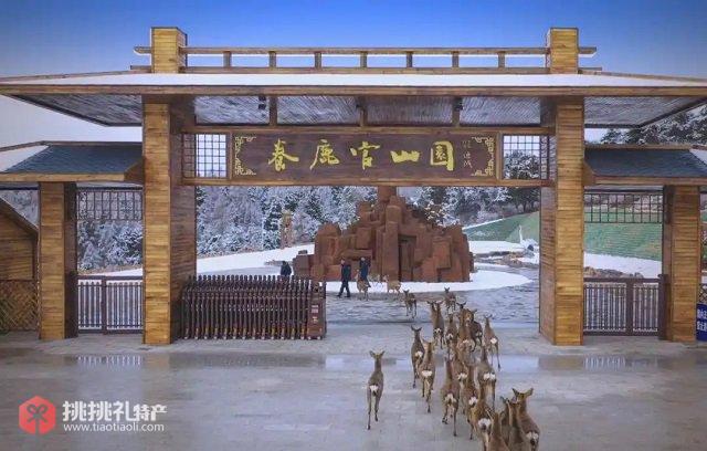 图为东丰县“养鹿官山园”正门口