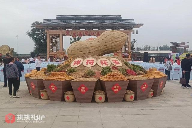 图为河南开封祥符区万隆乡花生种植基地