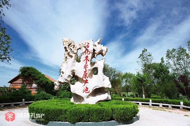 图为沾化“中国冬枣之乡”