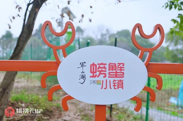 图为三阳集乡螃蟹小镇