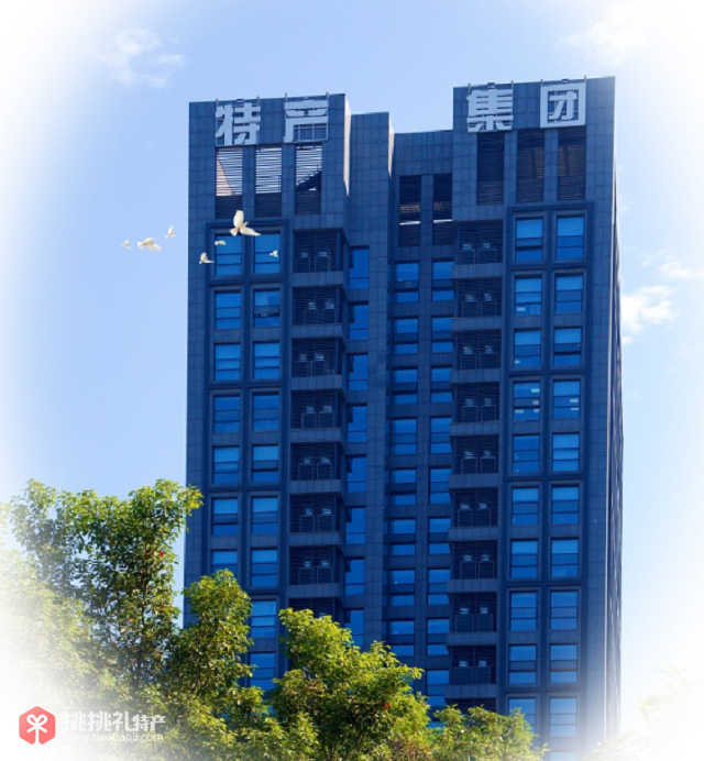 图为浙江特产集团总部大楼
