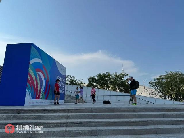 图为参加2025年第12届世界运动会的外国友人们