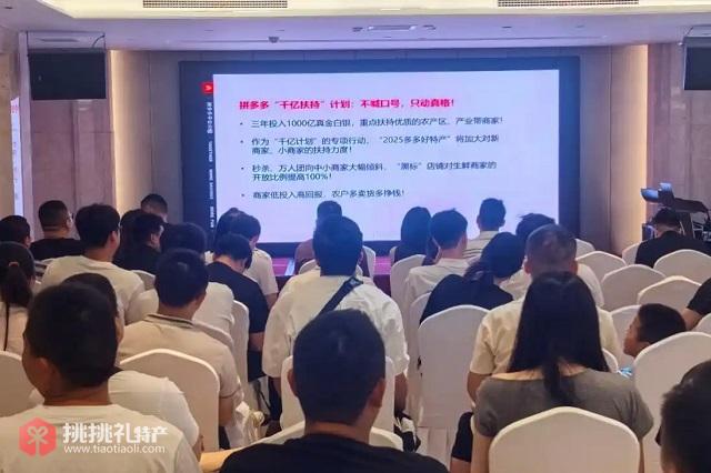 图为“2025多多好特产”走进农业大省河南，专项小组成员向商家介绍“千亿扶持”计划-李真摄