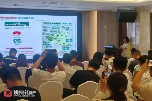 图为“多多好特产”专项小组成员正向商家讲解平台对地标农产品的扶持政策-李真摄