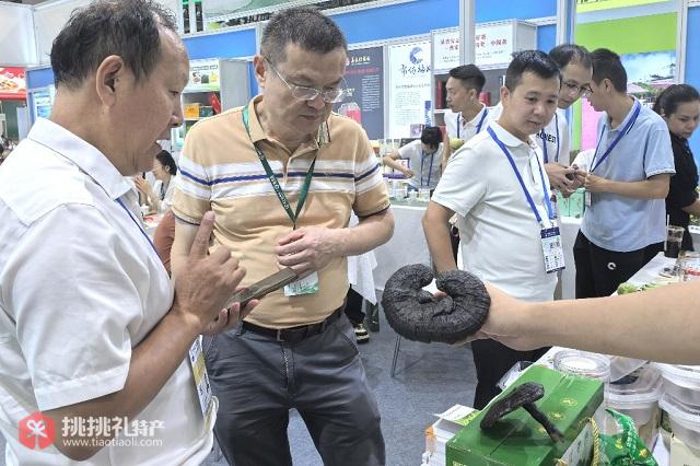 图为现场展出的灵芝受到关注