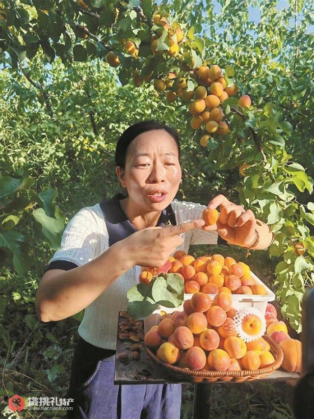 图为张银银向网友推销农产品（李艳梅摄）