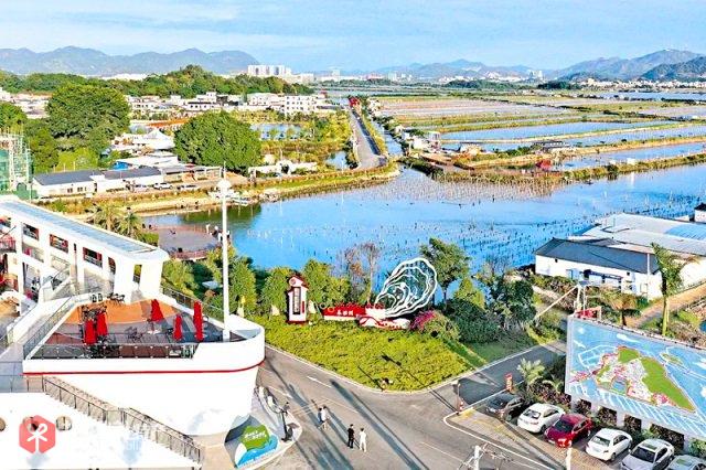 图为晨洲村万亩蚝田一角（来源：汕尾市地方志办）