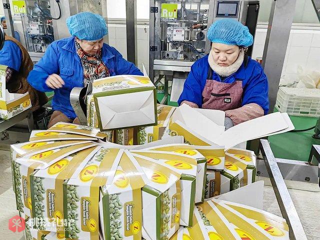 图为拥有国字号地域身份证的“日照花生”