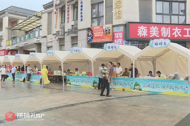 图为“滋味宿松”特产购物节现场