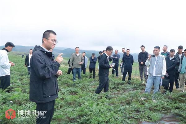 图为学员在天麻种植基地参加培训实践现场