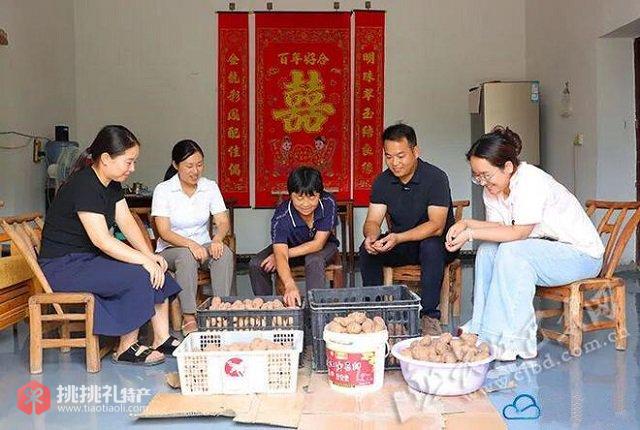 图为刘黎在农户家挑选土豆