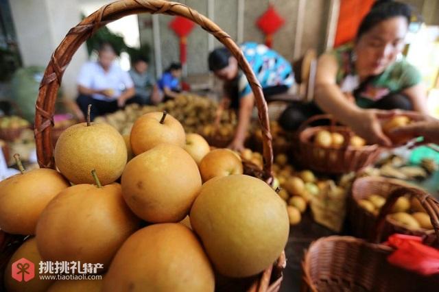 图为衡阳珠晖区特产金甲脆梨