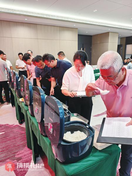 图为南江县长赤翡翠米专用优质稻新品种现场观摩会现场