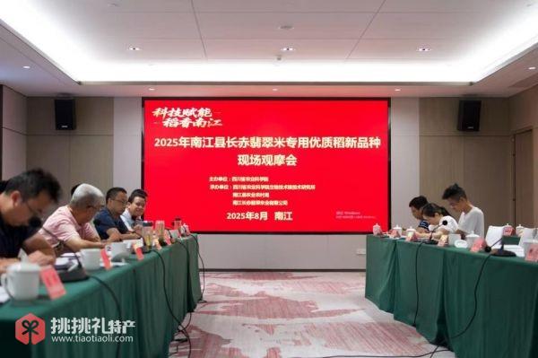 图为2025年长赤翡翠米专用优质稻新品种现场观摩会现场