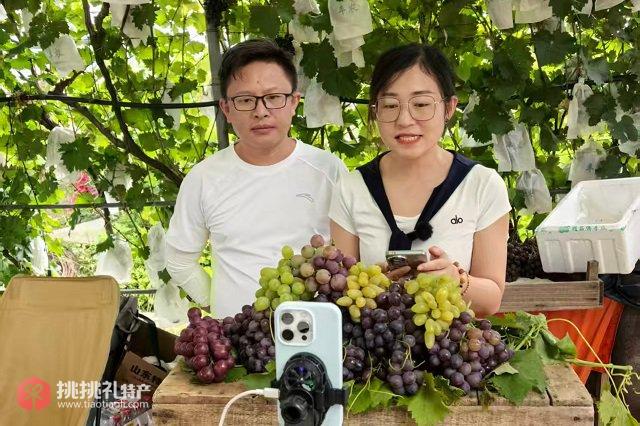 图为镜头架好，王晓龙和同事们开始了今天的直播