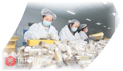 图为颐阳集团西洋参生产车间，工人正在包装西洋参破壁粉（王彦博摄）