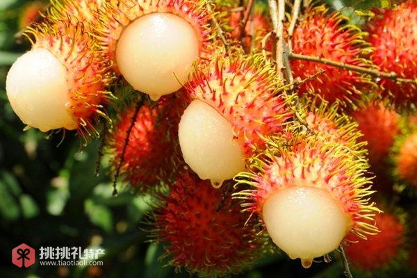 图为海南保亭特产红毛丹