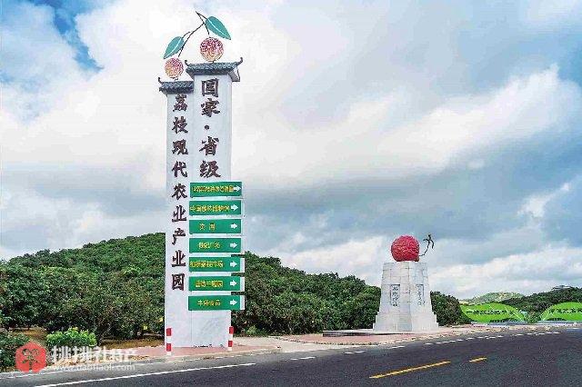 图为高州荔枝现代农业产业园