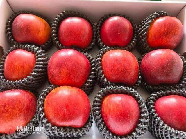 图为参展的丽江土特产“冰糖心苹果”