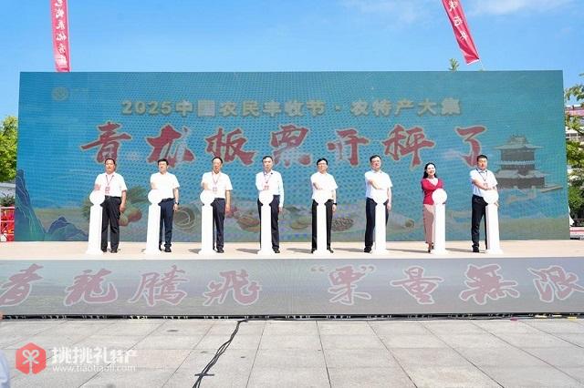 图为领导们在2025中国农民丰收节·农特产大集活动中致辞