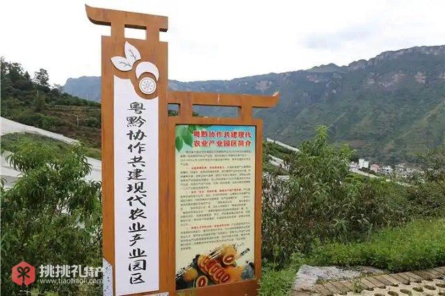 图为粤黔协作共建现代农业产业园区