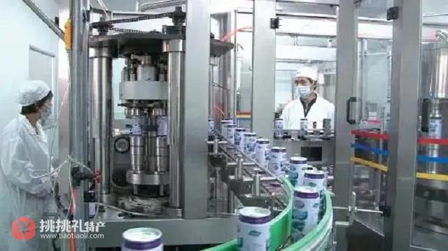 图为蓝莓果汁生产线上，工人正在检查易拉罐果汁灌装封口情况
