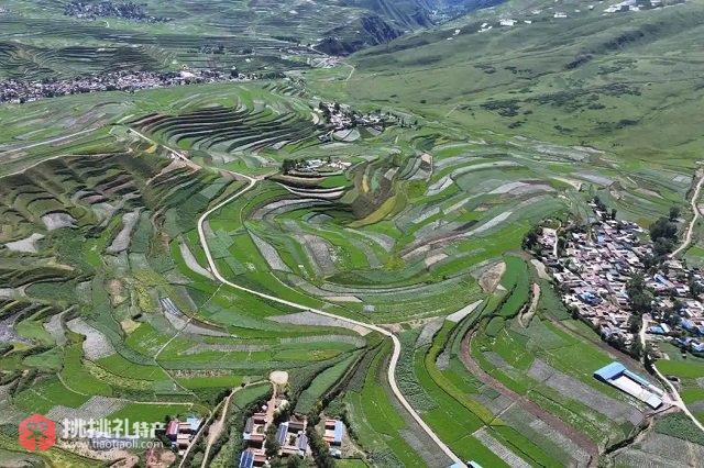 图为漳县中药材种植基地（漳县融媒体中心供图）