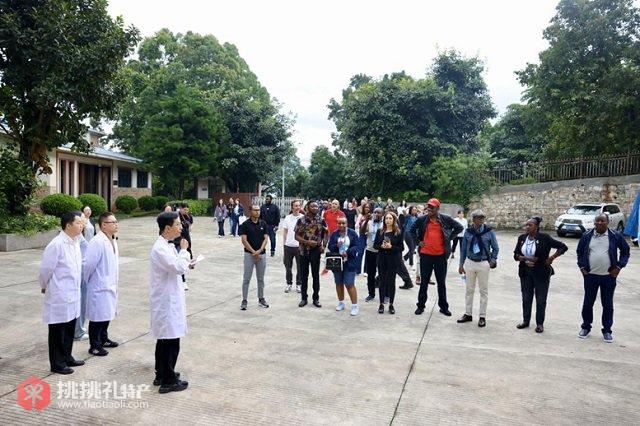 图为联合采访团成员听工作人员介绍临沧区域坚果种植情况