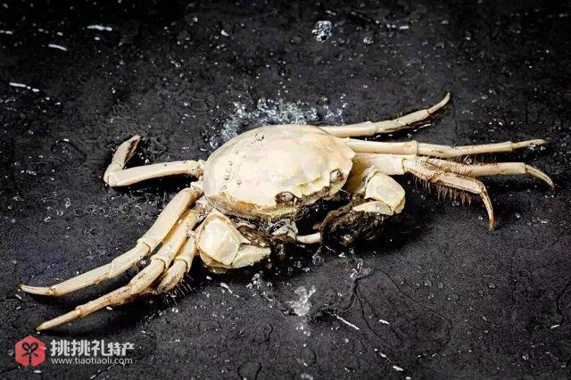 图为湖州吴兴特产太湖蟹（活蟹）