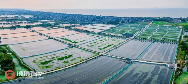 图为湖州吴兴恒鑫水产养殖基地