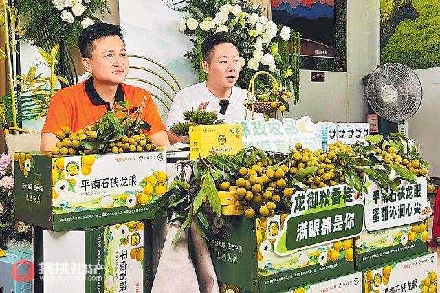 图为贵港邮政集中线上线下资源，打造爆款产品——石硖龙眼（杨方砚摄）