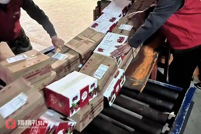 图为土特产“樱桃”托运上飞机
