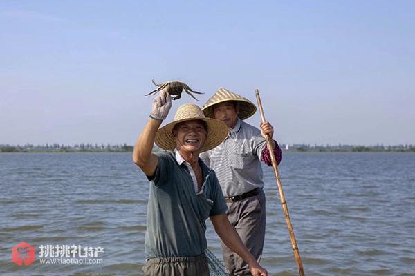 图为鹤龙湖大闸蟹今年大丰收，蟹农开心得合不拢嘴