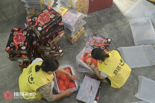 图：为了更好地服务石榴寄递韵达在会理石榴主产区开设了服务站点