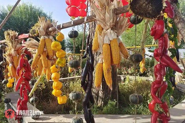 图为甘肃省武威市农特产品