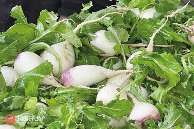 图为西藏土特产“芫根”