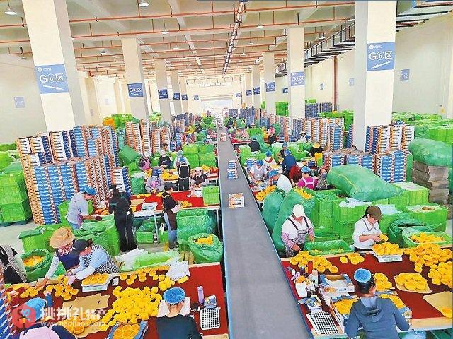 图为“滇西云仓”分拣包装车间