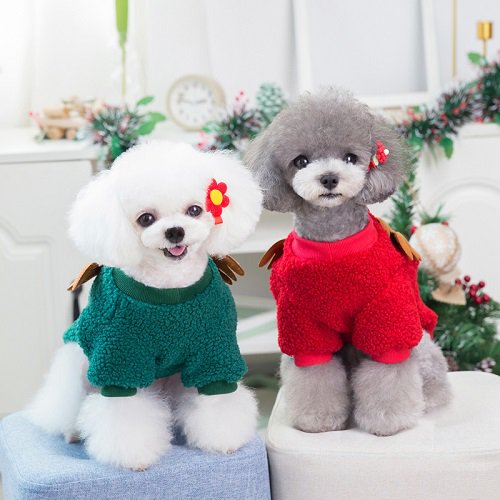 宠物猫狗新款衣服圣诞节可爱绒衣