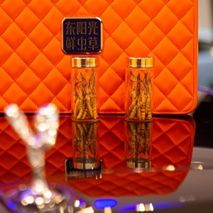 为什么越来越多人送礼选择送东阳光鲜虫草？